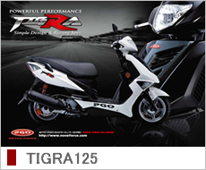 �J�^���O�\