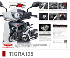 �J�^���O��