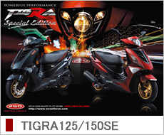 �J�^���O�\