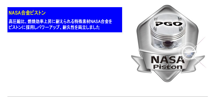 NASA�����s�X�g���̗p